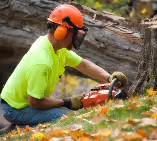 tree services Estelle